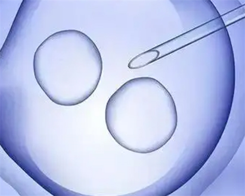 台湾与泰国试管婴儿选择指南及优势对比