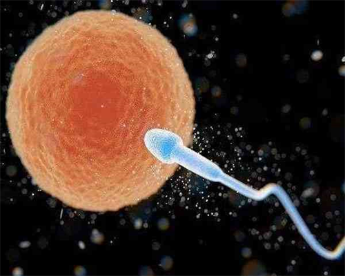 泰国试管助孕取卵过程是否疼痛？无痛方案详解