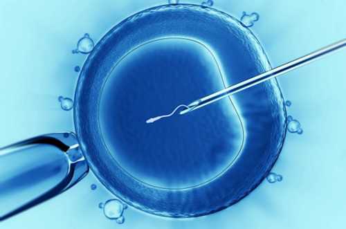 石家庄四院三代试管助孕费用解析与代生套餐选择指南