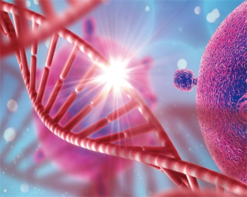 2026广州供卵试管中心：第三代试管移植成功率对比分析