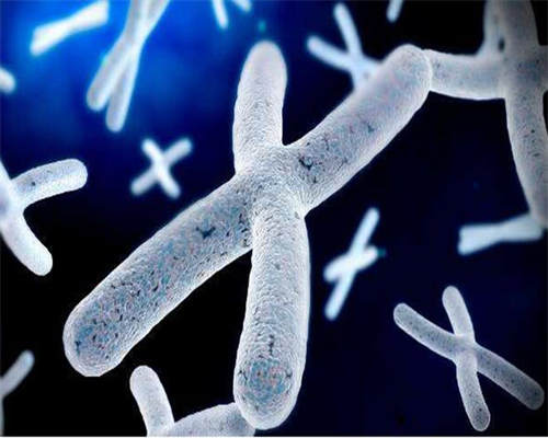 杰特宁试管婴儿费用明细与影响因素解析