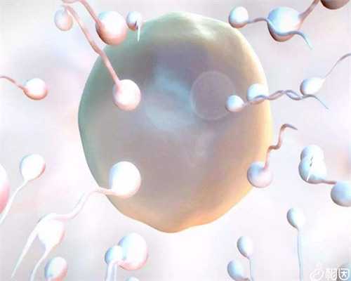 泰国备孕家庭必读:胸透X光后多久能安全助孕与生育?